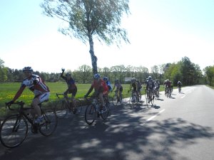 RTF Celle 2011 Manfred 104